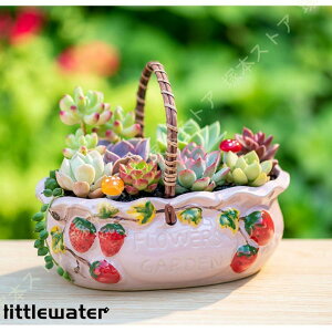 K[f|bg t[|bg  XCĴ̑̉Ԃ Aؔ ԕr  ɐ fXNgbv~ CeA z[