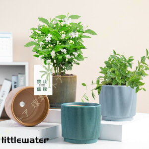  Aؔ  ی` Vv k c ɐ NGCeBu t@bV  Aؔ 픫 v^[ ~` fXNgbv~