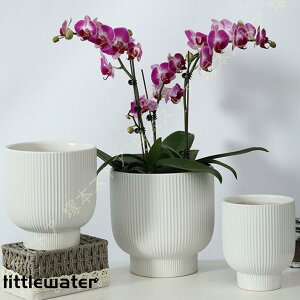 Aؔ A 퐻 c Vv rEt vX`bNgCt NGCeBu  ~` a t[|bg IV |p