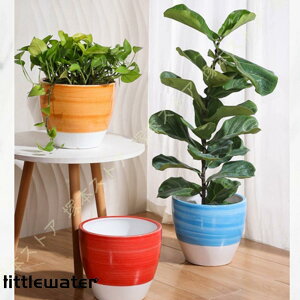 植木鉢 鉢植え 陶器鉢 シンプル 排水孔付き トレイ付き 盆栽鉢 プランター 北欧 おしゃれ 丸形 インテリア 部屋飾り 客間の盆栽 観葉植物 多肉植物 サボテン