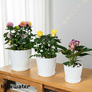 v^[ Aؔ c|bg vX`bN 3Zbg ꌊt vX`bNgCt Vv ~` y Jo[ z[ K[f Vbv