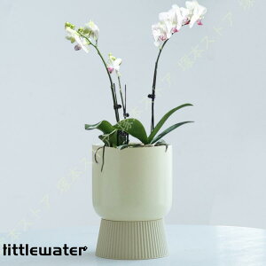 zv^[ Aؔ 퐻 ʋ 13.5cm | K[f v[g  zCg CeA oRj[ qt K[f|bg