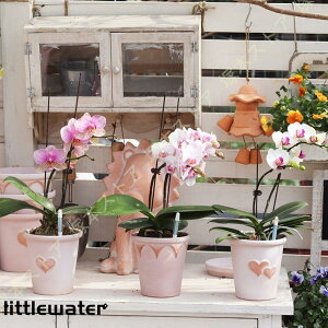 A Aؔ eRb^ ꌊt 13/16/20/25a ϗtA K[f  g sN  O n[g͗l/NE ~j Vv