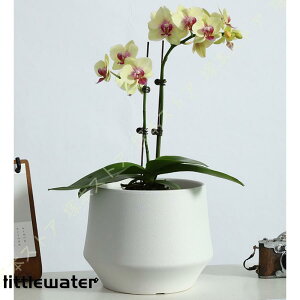 T{e Aؔ Vv k eRb^ ꌊt ʋC vX`bN̎Mt ی` |bg v^[ CeA IV  oRj[