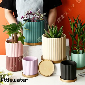 T{e Aؔ eRb^ Vv k ꌊt ʋC F̎Mt ی` c |bg v^[ fB CeA IV 