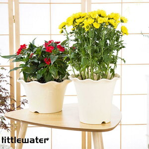 v^[ Aؔ ꌊt vX`bN Jo[ A~ Aؔ CeA t@bV fXNgbv~ oRj[ u ؉ z[