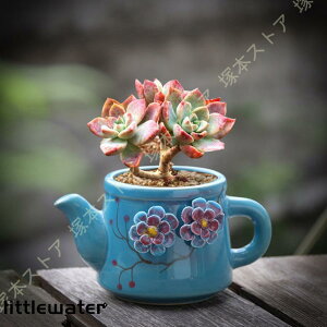 Aؔ 픫 A ꌊ ~j eRb^  oRj[ ϗtA   G K[f ϗtA  ԐAT{e ^