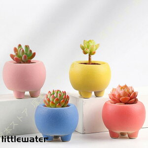 Aؔ A eRb^ |pi ꌊt ~j ew NGCeBu k Vv ^AKp A 킢 ACfA t@bV