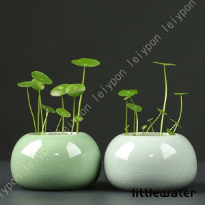 Aؔ v^[ Eh y  ϗtA   Vv6.5*6.5cm _ ꌊ k͔|ł  t[x[X Ԋ Mtg