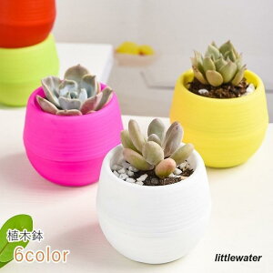 植木鉢 フラワーポット 生活雑貨 ガーデニング ミニサイズ 卓上サイズ 手のひらサイズ 多肉植物 サボテン 観葉植物 無地 ホワイト グリーン ブルー