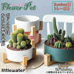 񂹐A Aؔ v^  A T{e |g[t n[u Z~bNX 픫 |bg ^AKp ItBX | K[f