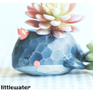 Aؔ v^[  t[|bg t[|bg u IuWF u Aؔ A IuWF Jg[eCXg K[fjOG