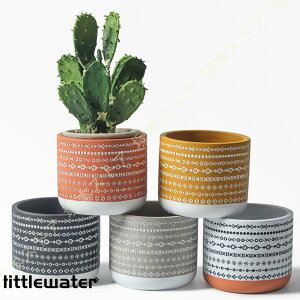 T{e Aؔ A Zg ɐ k Vv {w~A􉽊w͗l NGCeBu ی` ins |pi T{e A