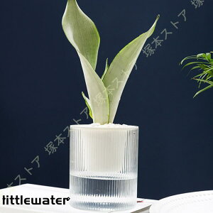 v^[ Aؔ vX`bN ʋ  | Ƃ߂   K[fjOpi fXNgbv cȖ͗l K[f|bg 蕨 Aؔ