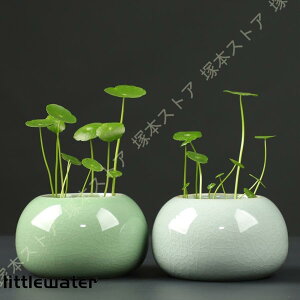 픫 Aؔ Z~bN Ȃ k͔|ł |pi K[f v[g Vv K[fjOpi Vbv 󂯎MȂ A Mtg