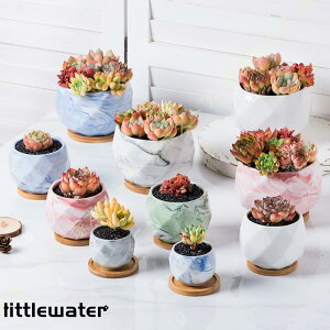 픫 Aؔ Z~bN t }[u |pi K[f v[g k sN K[fjOpi Vbv |g[t A Mtg