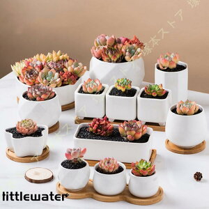 A Aؔ eRb^ |󂯎Mt STCY ϗtA K[f  k   O ^ ~j Vv v^[  7.2cm k