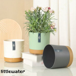 v^[ Aؔ vX`bN  ی` ӂ҂̐Aؔ ʋC k z GR Vv K[f|bg ʋ K[fjOpi