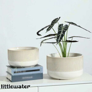 eRb^ Aؔ A k A ɐ vX`bN̎Mt Vv ی` c a [ K[fjOpi u