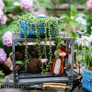 A Aؔ Zg ɐ AA rO NGCeBu [bp u Vbv W[Y|Pbg Vv A