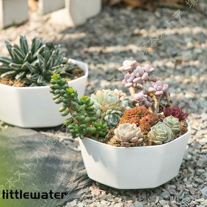  vX`bN Aؔ vX`bN 3_Zbg ꌊ  ~`̐Aؔ ϗtA Jo[ k Vv K[f ACfA