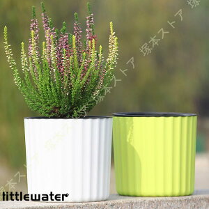 Aؔ vX`bN v^[ ӂ҂̐Aؔ Vv   Ȏ̋z  u CeAG ~` fXNgbv~ z