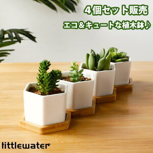 Aؔ 4Zbg@̓ K[fjOIuWF A A@ϗtA@T{e ~j v^[  