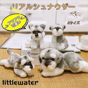 ViEU[A Ⴉ킢q ʂ a j v[g