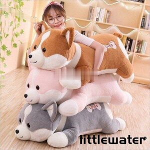 RLN^[ ʂ R[M[ ˂ނ˂ ܂v[g 킢 ObY