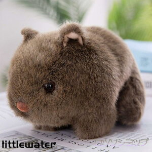 }EX lY~ ʂ bg  uE v[g Mtg j  a q ̎q j̎q   