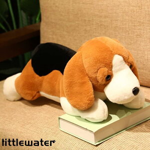 r[O ʂ  NbV A v[g X  q Gӂӂ D   Mtg