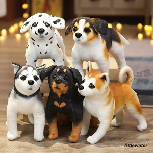 ̂ʂ u V~[V q  G   CeA bgC[ _VA VxA?nXL[ r[O Hc 25cm