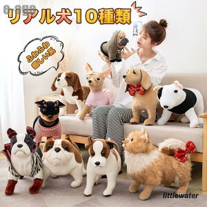 ʂ݌   G A ObY 킢 a NX}X 蕨 CeA v[g 10ޑIׂ 30cm