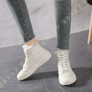 [gu[c Xm[V[Y Xm[u[c fB[X {v V[gu[c h h g C Ȃ ZC ʊw ʋ V[g h JWA C