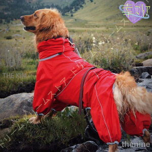 CR[g  CR[g p ybgCR[g ^ ^  pCR[g J [h |` h JH ^ ^