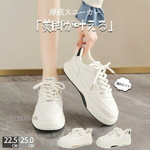 Xj[J[ fB[X EH[LOV[Y _CGbg Xj[J[ JWA ꂢ@ ʋC y ɂ _CGbgXj[J[ JWA ^C