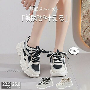  Xj[J[ fB[X _bhXj[J[ EH[LOV[Y _CGbg Xj[J[ JWA ꂢ ʋC y ɂ _CGbgXj[J[