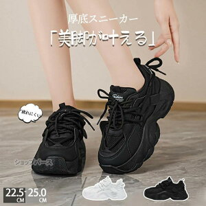  Xj[J[ fB[X _bhXj[J[ EH[LOV[Y _CGbg Xj[J[ JWA ꂢ ʋC y ɂ _CGbgXj[J[