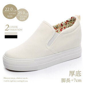 Xj[J[ fB[X  X|[c LoX V[Y q[ Cq[ ʋC Xj[J[C  ₷ ʊw Ȃ Xb| LoX