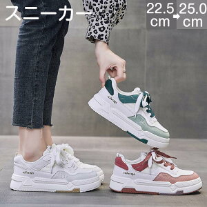 Xj[J[  3.5cm fB[X JWA EH[LOV[Y Ȃ Ȃ r  ʋ ʊw l lGKp U  [Jbg