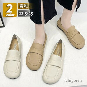 pvX fB[X V[Y EhgE [q[ [t@[ ؂ tbg ɂȂ ₷ JWA ʊw w R[f