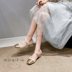 T_pvX L fB[X  Xgbv [q[ 傫TCY TCY 26.5cm 21cm pvX ₷T_ 3cmq[