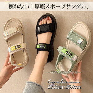  T_ fB[X X|[cT_ Xj[J[T_ 킢 r[`T_ TCY 傫TCY AEghA ɂȂ