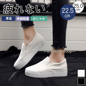 Xb| fB[X V[Y LoX x[VbN Vv  Xj[J[ ؂ 3040 50 