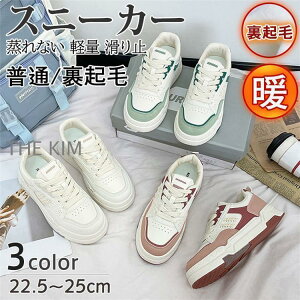 Xj[J[ fB[X  Xj[J[ N {A ʋ ʊw Cq[ fB[XV[Y r r  r ₷