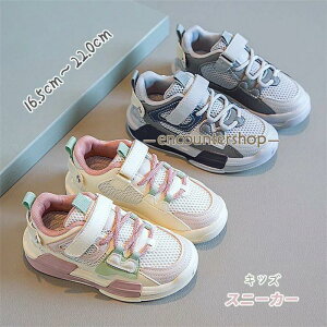 LbY Xj[J[JWAV[Y ̎q xr[Xj[J[ jOV[Y C bV j̎q ̎q 킢 q o tbg ʊw ʉ 