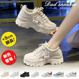 VFoI Xj[J[ _bhXj[J[ fB[X   ؍ Cq[ X|[c tďH~ x[W 5cmq[ 3color  x[W