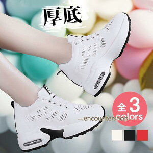 Xj[J[ fB[X X|[cV[Y bV  C ^C _CGbg Ȃ y ~ O W U ₷ d