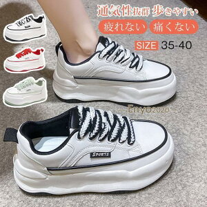  Xj[J[ fB[X X|[cV[Y C V[Y ~ r r ₷ Ȃ