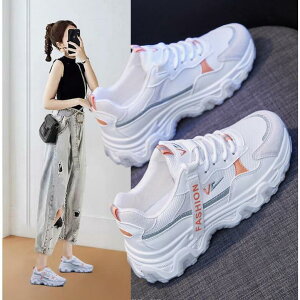 Xj[J[ fB[X   40 30  5cmgUP Ȃ V[Y {A ؍ ʋΌC JWA y r  t  H ~ 2021V